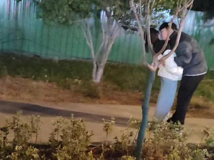 春天来了!又让我情何以堪!