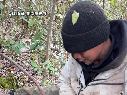 七星山荒野求生赛第27天 54号“老中医”生吃带泥山药、木耳 !“显超强生存力”
网友:“荒野求生还得看他 涨知识”。#荒野求生 #54号老中医 #张家界