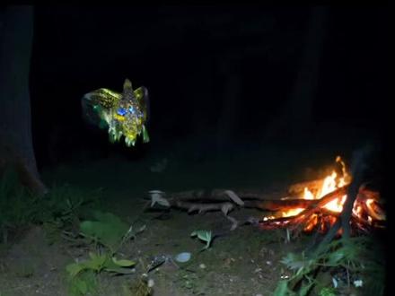 山海志怪,凤凰浴火#户外 #真实户外