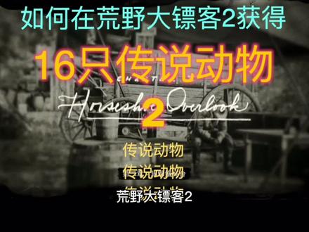 #游戏 #荒野大镖客2 16只传说动物的位置攻略,不来看看吗😏