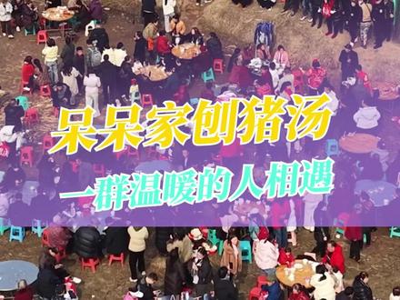 文旅绞尽脑汁,不如两头大肥猪一身诱人的膘 #呆呆 #合川文旅 #暖心 #人间烟火