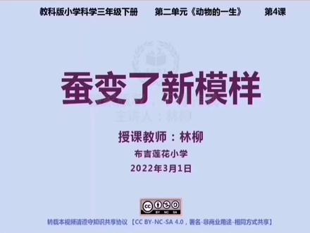 新教科科学3下-蚕变了新模样