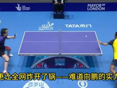国乒横扫澳洲,王皓再遭质疑:向鹏一场没上,即使夺冠他也没金牌 #伦敦世乒赛
