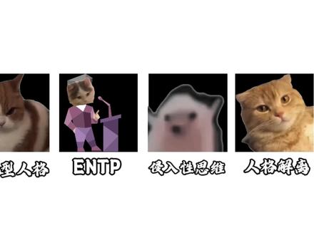 什么是ISFP #猫meme #mbti #isfp
