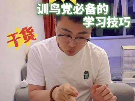 小太阳鹦鹉技能教学#小太阳鹦鹉怎么养 #创作者中心 #创作灵感 #萌宠出道计划