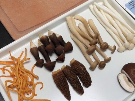 狗狗鲜食教程|永生狗之长寿蘑菇汤🫕 今天来复刻一下《永远的爱犬》里的狗狗长寿蘑菇汤
希望我们的小狗都能平安长寿,陪伴我们久一点,再久一点!!!
#自制狗饭 #狗狗鲜食 #益和鲜时菌菇汤