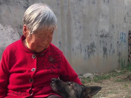 灰宝是懂奶奶的 #灰宝