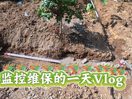监控日常维修的Vlog 干了物业监控维保什么都要会,什么都要干。挖坑预埋监控杆、挖沟套管穿线、调试录像机路由器、安置房物业牛马打工人#物业修理 #物业打工人的日常 #物业管理 #万能维修工