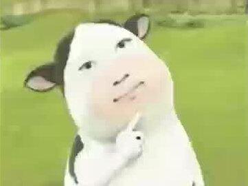 专升本那些省份好考?升本人认清难度,才能更有针对性的备考....#专升本#备考#上岸#经验分享