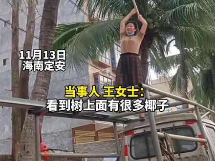 11月13日,海南定安,女子椰子树下摘椰子被砸,当事人:无大碍。