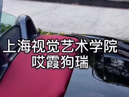 #霞狗瑞 觉得工技大比#上海视觉艺术学院 好。 #杜宝隆 表示很惊讶@抖音小助手