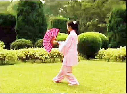 太极莲花扇分解教学视频!