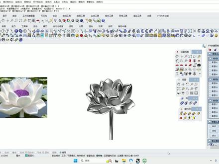 第6期荷花案例#犀牛建模 #3d建模 #新手建模 #荷花 #真实生活分享计划