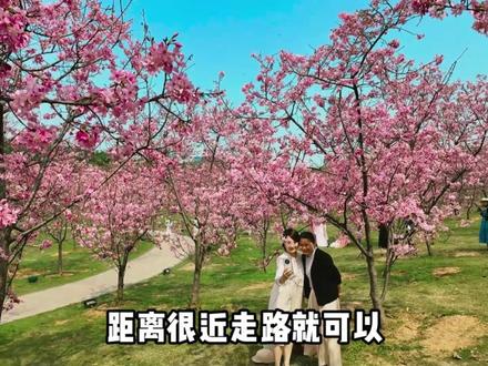 3月的青秀山是这样的#这个南宁没有不去的理由