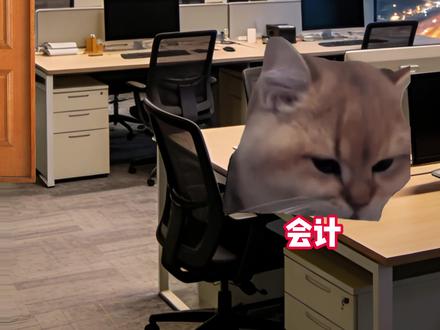 今日猫猫大学习:当会计帮老板平34个小目标 #猫meme #会计