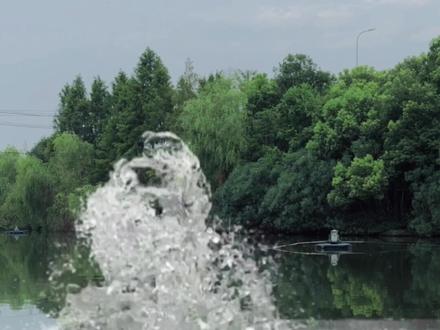 水花跳舞教程来了#教程 #手机摄影 #剪映 #拍摄技巧 #创意 @DOU+小助手