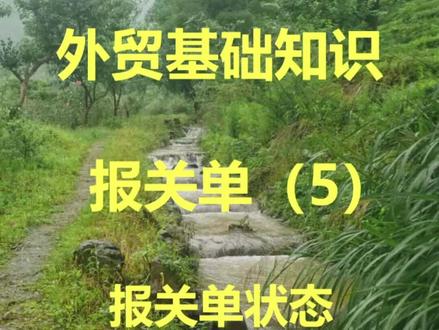 介绍下报关单上看不到的报关单信息-报关单状态,是怎么一步步从申报到放行的呢,看了就知道#外贸 #跨境电商 #知识分享