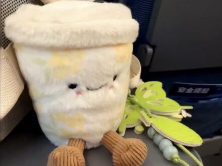 保姆级带你拿下霸王毛绒杯 太可爱了 心都要化了呜呜#薅羊毛的快乐 #创作者扶持计划 #日常分享 #霸王茶姬 #毛绒杯