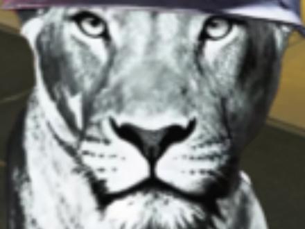 队友抢我打的包#三角洲行动 #真实生活改编 #狮子和小猫 #伙伴计划