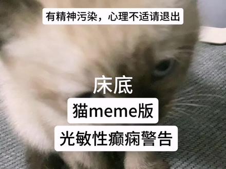 在冷萌猫评论区找到的#猫meme #恐怖 #猫meme恐怖