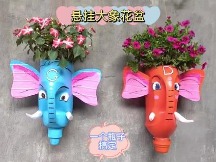废物利用,塑料瓶变身大象花盆,种植物装饰墙面或者垂直空间