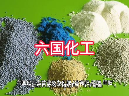 六国化工上市公司基本情况介绍