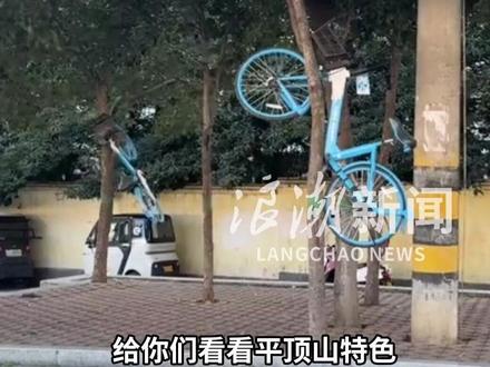 平顶山惊现“空中共享单车”,在树上、路牌上、栏杆上随机刷新。
