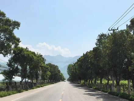 泉泉之行:皂峪终灵山 皂峪地处西安鄠邑区秦岭北麓,是秦岭七十二峪中藏于山野的清幽秘境,终灵山静卧于皂峪深处,山水相依、人文相融,春日到访,满目皆是治愈的自然盛景。#感受大自然的气息和美景 #旅游 #生活 #日常vlog #情感