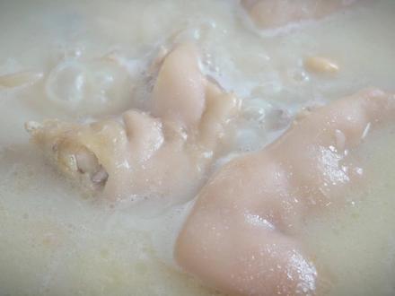 四川老妈蹄花怎么做?大厨教你一个技巧,蹄花汤汤色奶白软糯脱骨 #蹄花汤#老妈蹄花#炖蹄花#蹄花汤蘸料#焖猪蹄