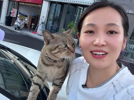 我不相信什么大风吹倒梧桐树,我只知道难走的都是上坡路#加油你是最棒的 #江安丹妹儿 #江安丹妹儿语录 #热门文案 #口播正能量