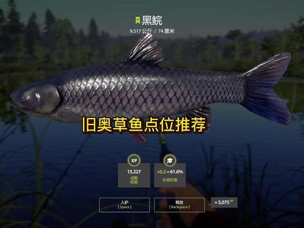 俄罗钓鱼4草鱼点位分享~#俄罗斯钓鱼4#俄罗斯钓鱼4直播#俄钓4#游戏日常#游戏#游戏主播
