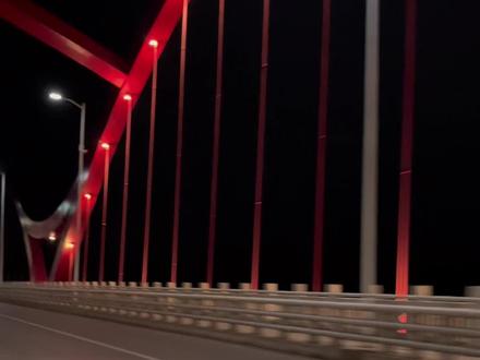 为什么你从不好奇我