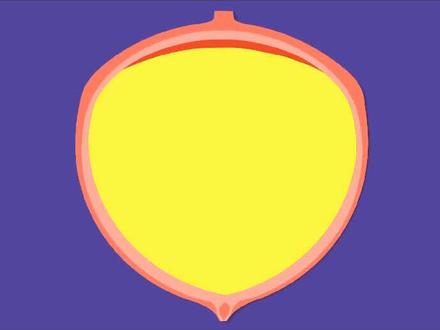 使劲憋尿会把膀胱憋炸吗?#科普一下 #科普知识 #科普 #膀胱 #科学