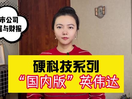 硬科技系列:“国内版”英伟达 #股票 #AI芯片