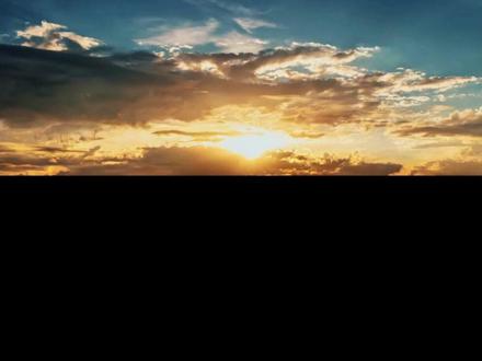 #樊总 呀留人不是这么留的