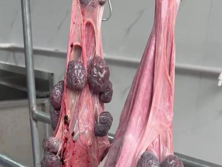 这些牛肉你喜欢吃哪种? #牛肉 #牛排 #抖音美食推荐官