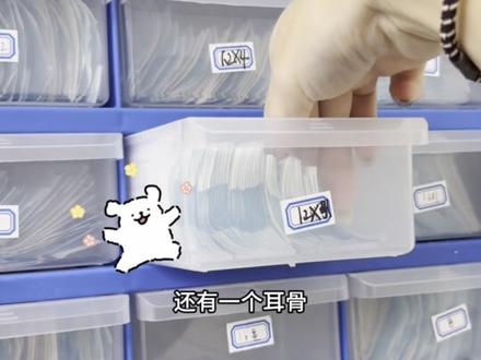手穿耳骨穿刺过程 高位耳垂手穿过程 #南京穿孔师油炸黄胶鞋 #耳骨钉最好看的位置 #高位耳垂穿刺过程 #手工穿刺打耳洞 #一个动作证明你学的专业