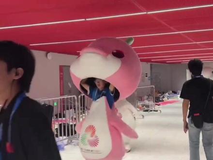 正向大家走来的是,超萌“大湾鸡”方队 #大湾鸡 #全运会 #吉祥物