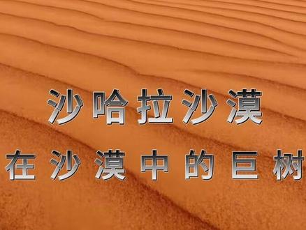 《沙哈拉沙漠》 沙漠的地下究竟有什么,为什么绿洲变成了沙漠#沙哈拉 #科普