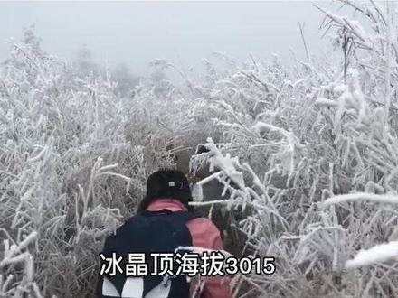 #西安#秦岭#登山 #抖音小助手 冰晶顶海拔3015,徒步登顶需要5个小时,拔高1500强度适中。