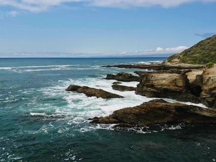 什么样的人会成为这个时代的饿殍 #真实事件 #大象公会