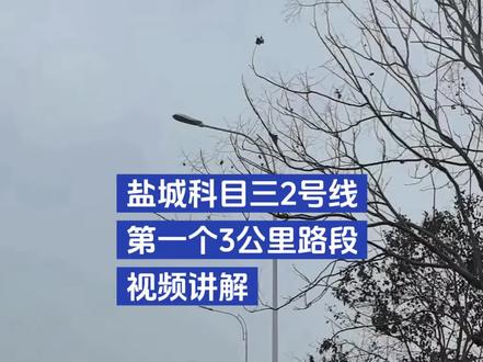 盐城科目三2号线
第一个3公里路段,刚起步时前面有直线行驶和学校,如果快到直线行驶标牌速度上不来,就不要再提速跑300米了,因为前面有学校快到了,然后右拐之后有的是机会跑300米