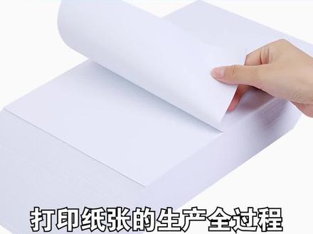 一棵树能生产多少张A4纸? #a4纸 #纸