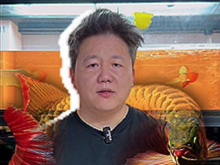 养龙必看,新手养龙鱼怎么开缸养水,老张一期视频教会你 #鱼 #水族 #红龙 #龙鱼 #龙鱼高端龙鱼