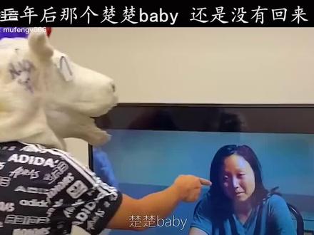 #楚楚baby至今下落不明 楚楚baby至今下落不明
