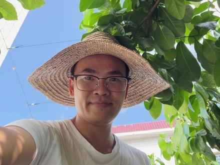 无花果怎么打顶、修剪,一个视频手把手用盘栽经验告诉你 #无花果 #无花果种植 #园艺小技巧 #记录我的种植生活 #楼顶果园