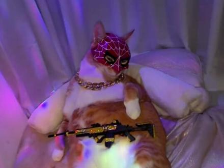 雷霆拼好歌,我要擦皮鞋 #宠物运镜#舔猫#全网最听话的猫咪天团 #技术流运镜