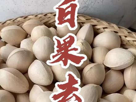 当季,美食 白果 不可错过