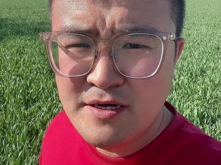 冬小麦怀孕了,怎么管理? #三农种地技巧 #种植小麦的注意了 #关注三农小麦种植 #田间地头话农业 #小麦种植推广