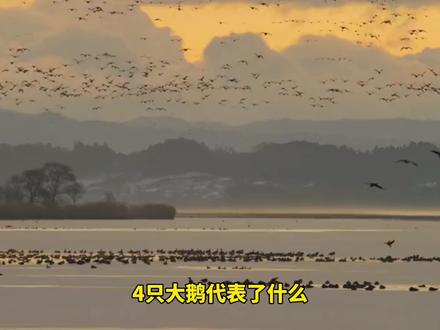 8月11日李大霄的暗示解读#李大霄 #红心少年
